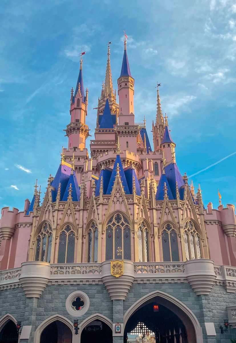 Disney World Castle